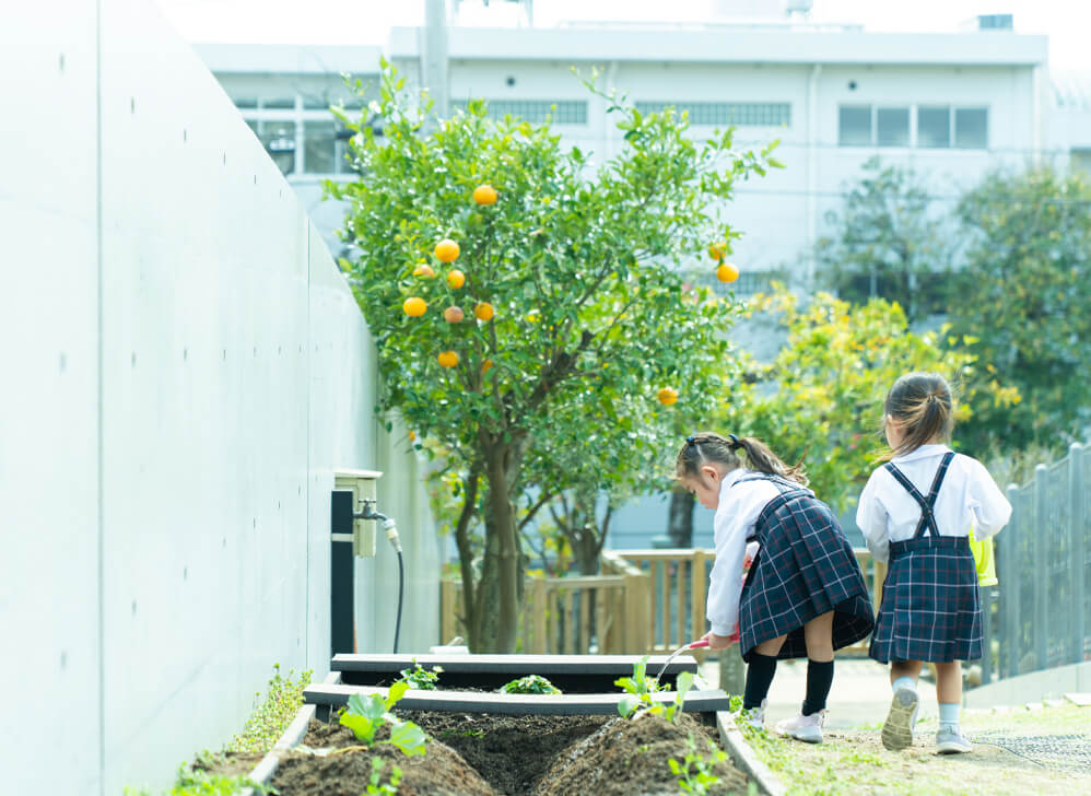 昭和学院幼稚園