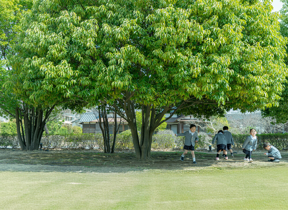 昭和学院幼稚園