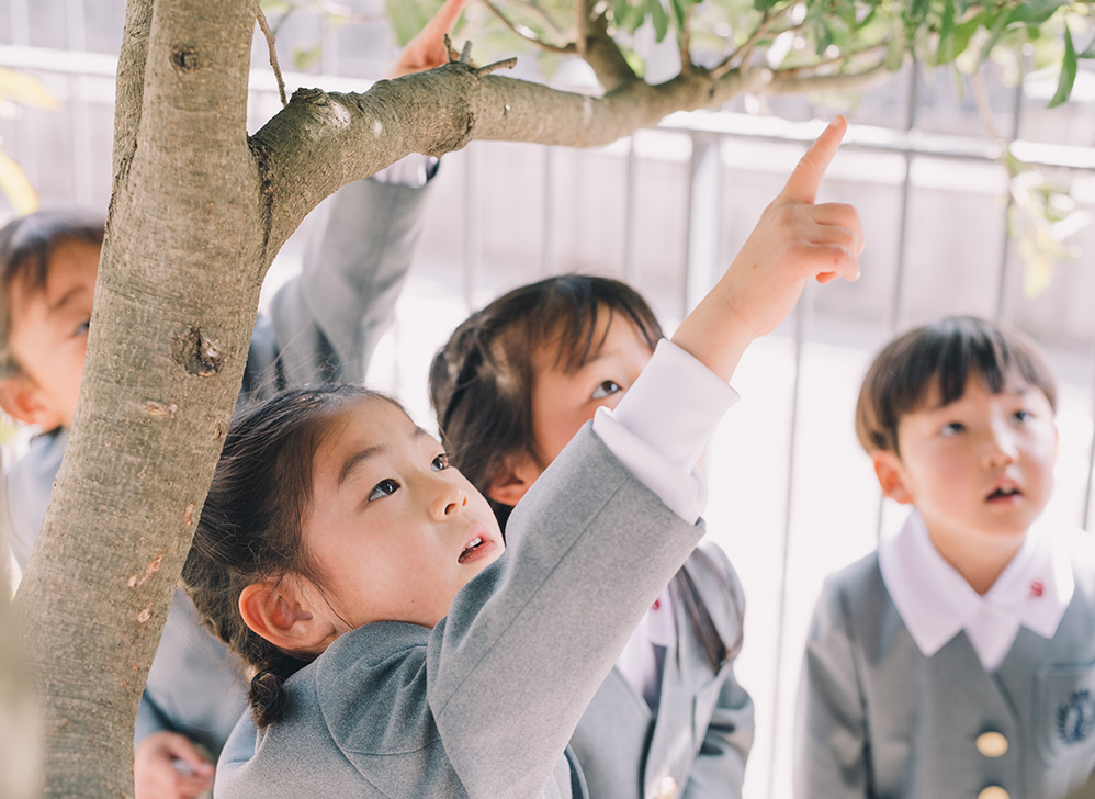 昭和学院幼稚園