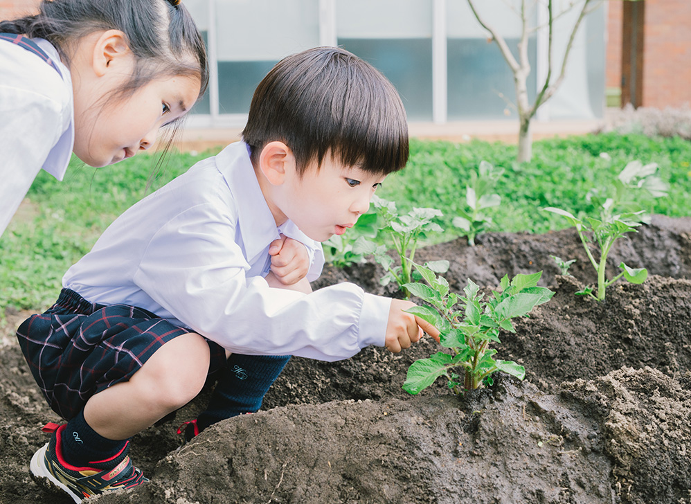 昭和学院幼稚園